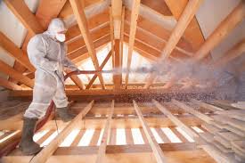 Best Insulation for Existing Homes  in Bull Valley, IL